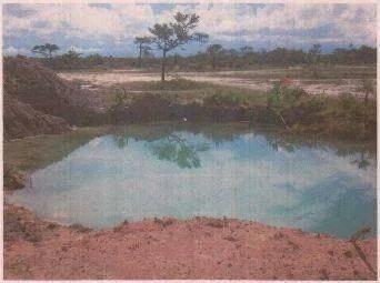 QUALITY LIVING IN BELIZE AT GOSHEN GARDENS - Photo 3