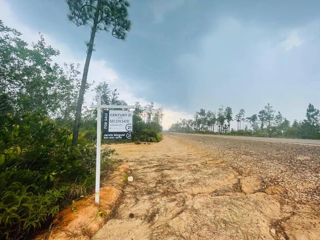 Serene and Expansive 9.78 Acres on Caracol Road, Just Minutes from Big Rock Waterfall! - Photo 5