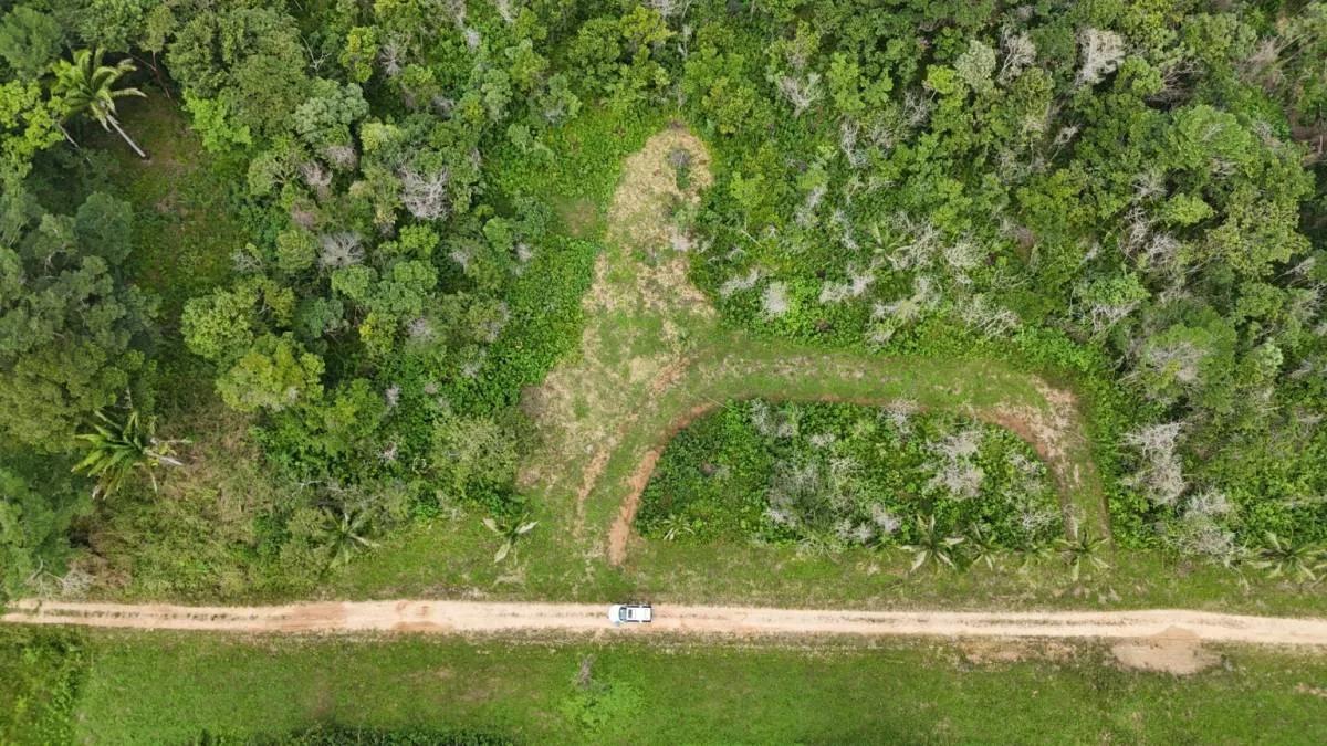 Beautiful 4 parcels high, dry land ready for development in Toledo, Belize - Photo 5