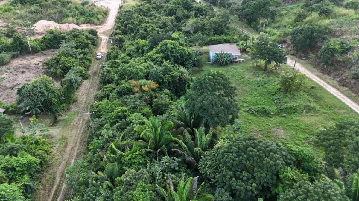 469.837 sq. m. Residential Lot in Belmopan – Mountain View - Photo 5