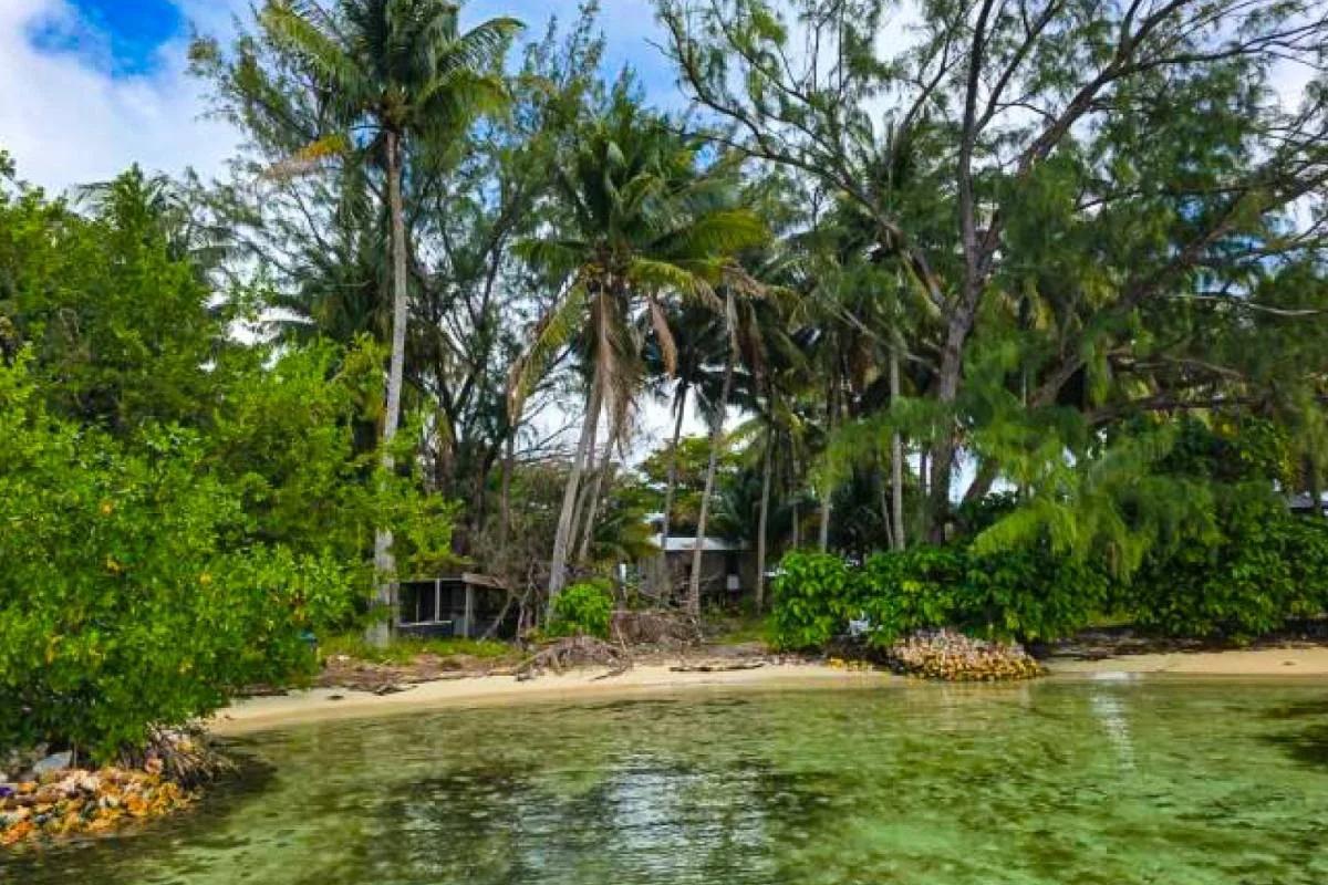 1.4-Acre Private Island for Sale | Buttonwood Caye, Placencia, Belize - Photo 7