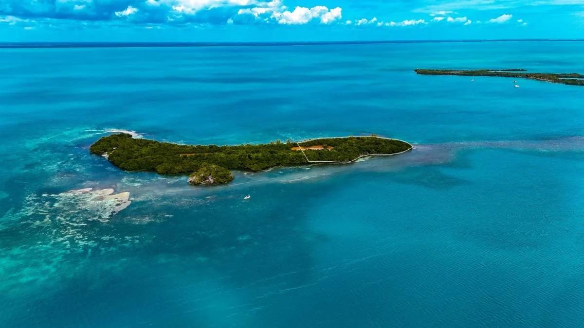 Prime Waterfront Acreage on Grennel’s Caye - Photo 4