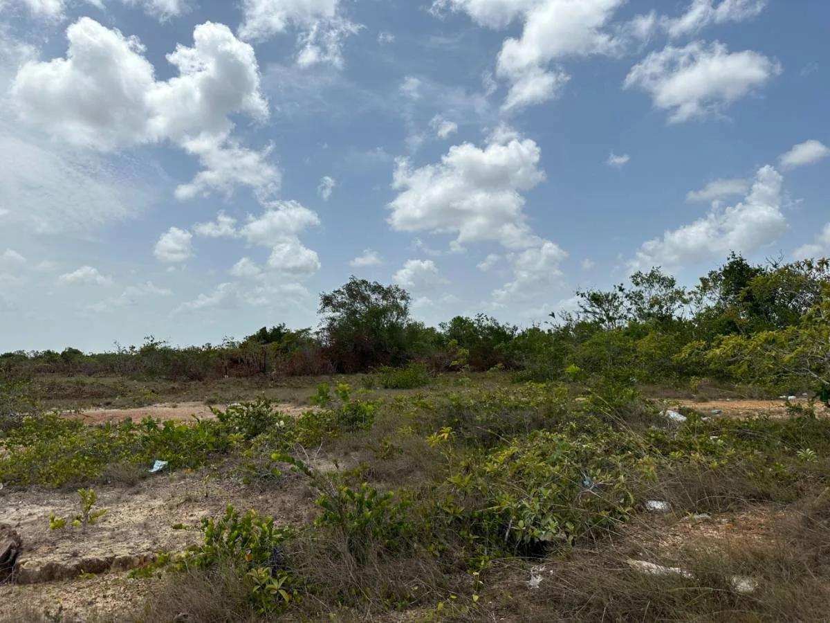 22.577 Acres of pure tranquility - Photo 2