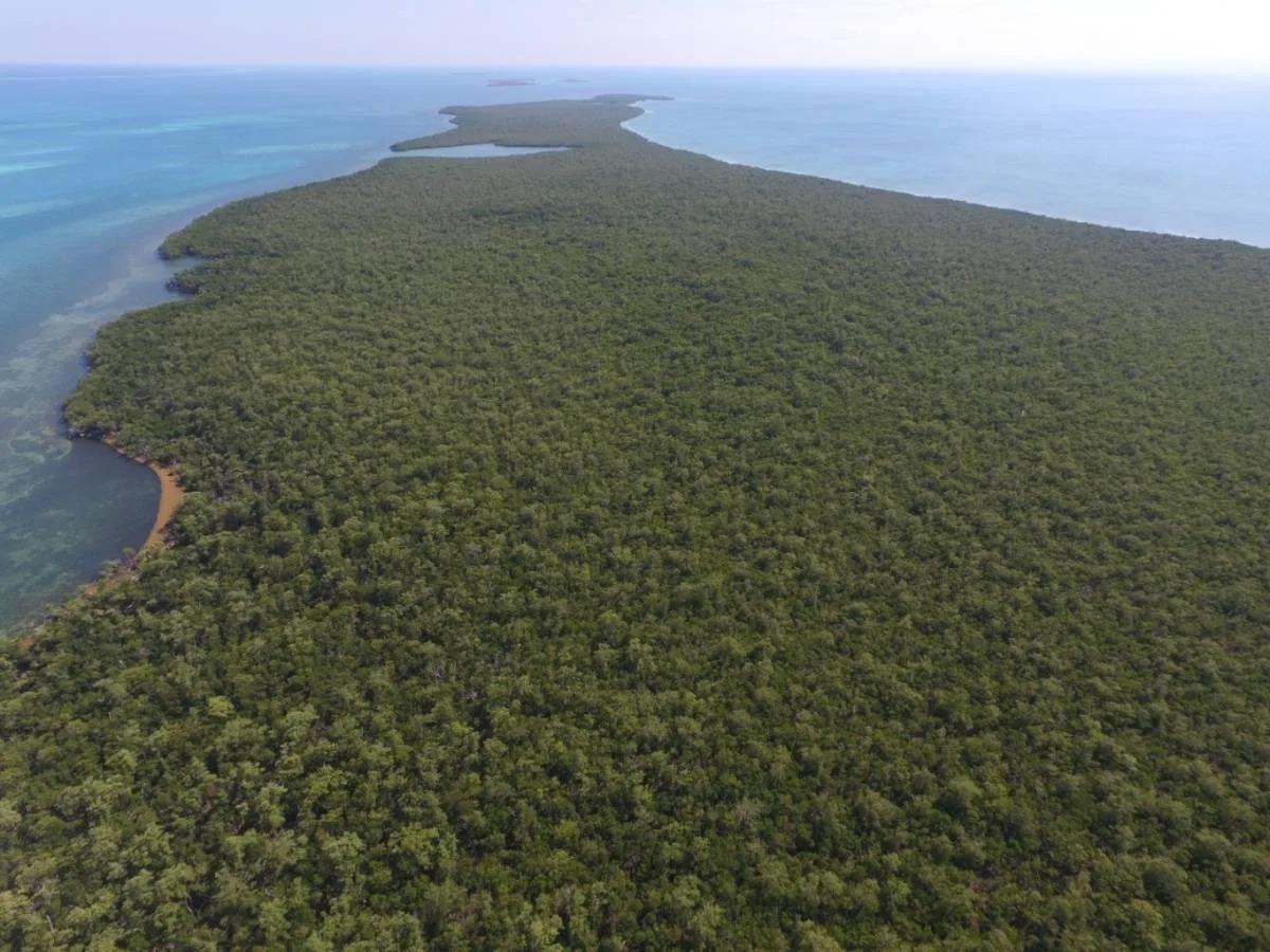 5 acre Island Paradise