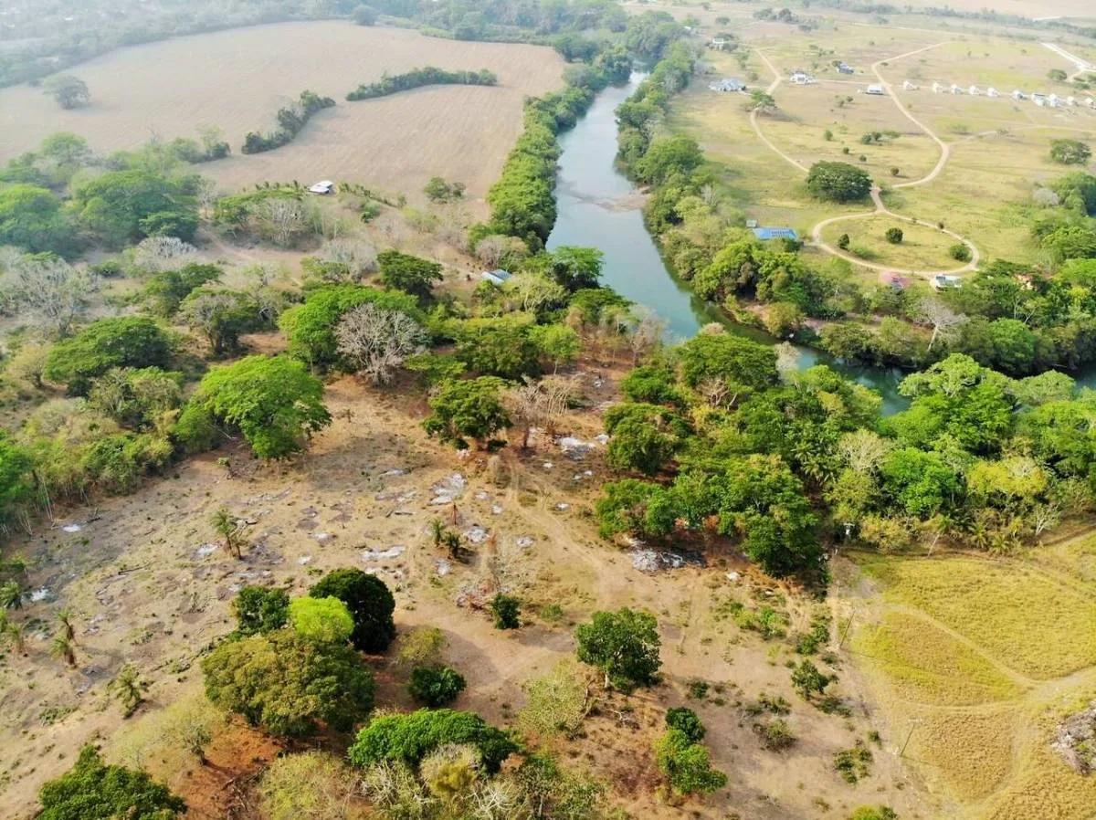 12.76 Acre River Front Property In Cayo - Photo 4