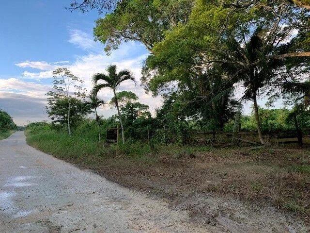 Agricultural  Investment - Photo 4