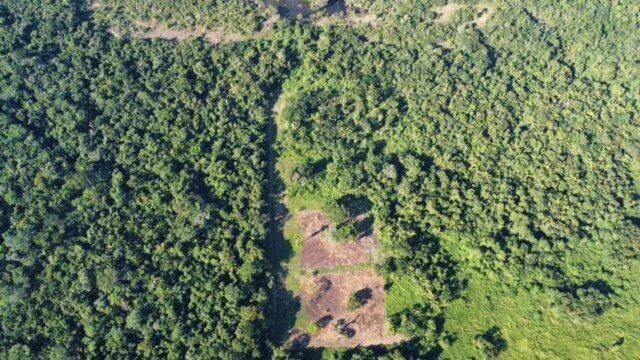Lush Lots surrounded by Jungle - Photo 6