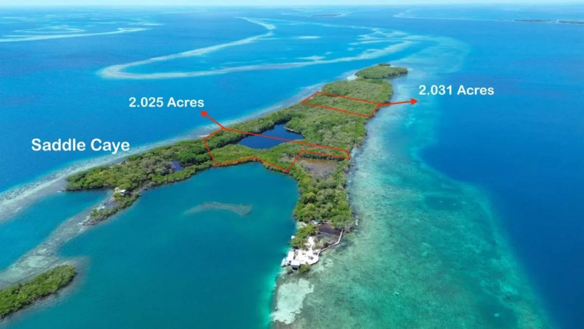 Two Exquisite Parcels on Saddle Caye