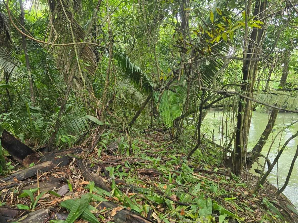 Riverside Tropical Investment – 30 & 12.3 Acres on the Rio Grande, Big Falls - Photo 2