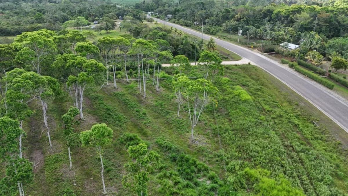 383 Acres of Agricultural & Investment Potential – Bladen, Belize - Photo 2