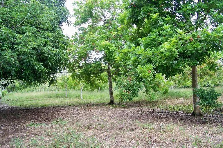 50 Acre Farm located in the village of Frank’s Eddy. - Photo 4