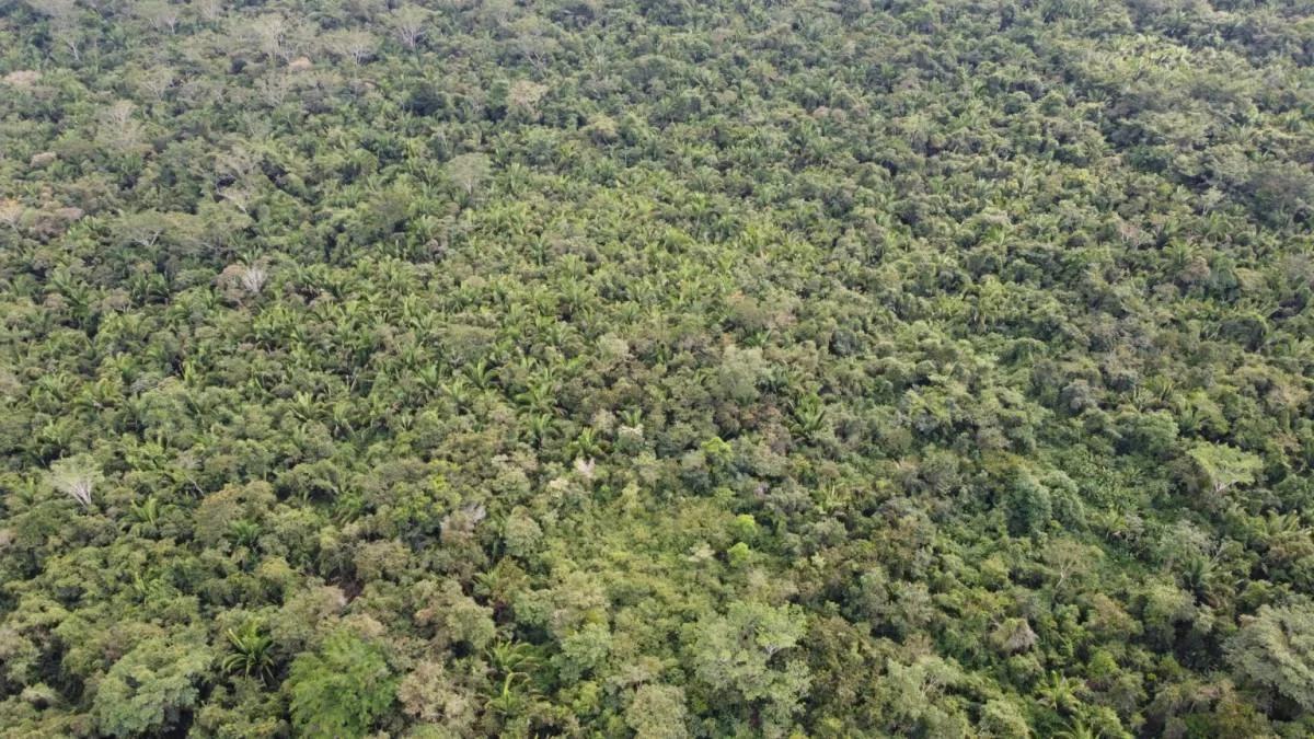Superb investment opportunity, 40 acres newly listed! - Photo 2