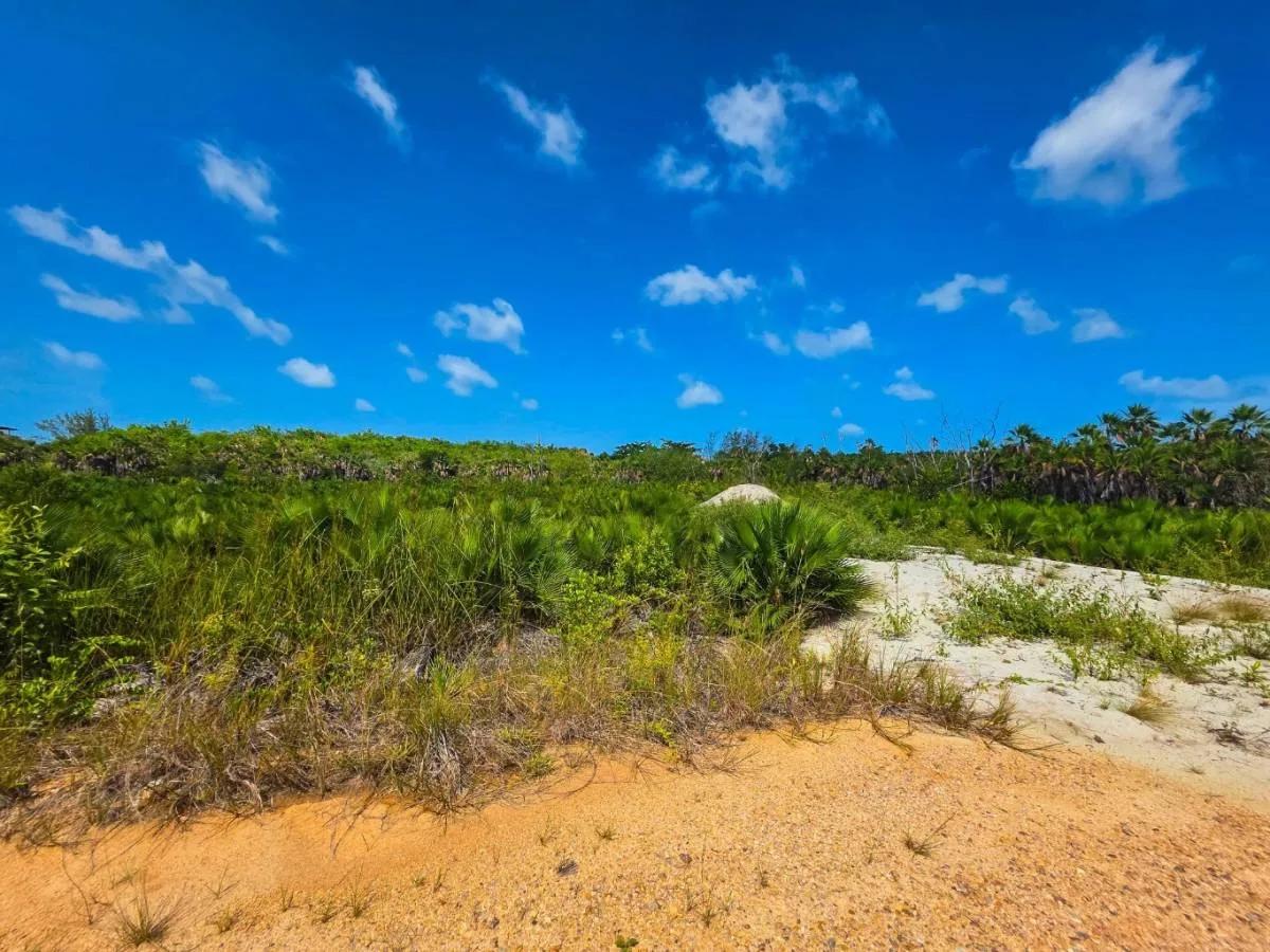 Large Caribbean Way Lots - Photo 7