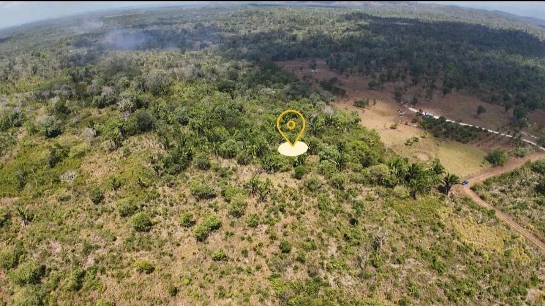 Escape to 25 acres of Agricultural Paradise near Belmopan