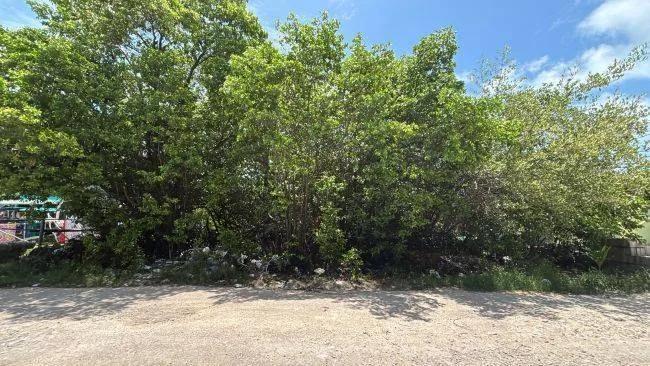 Affordable 5,000 sq ft Lot in the Bahia Neighborhood