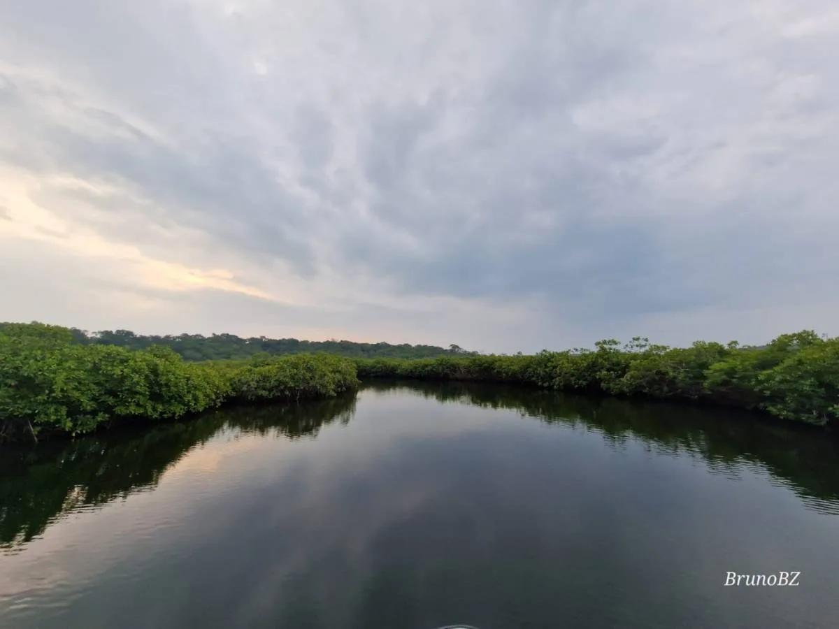 "Prime Riverside Majesty: 50 Acres of Untouched land in the Moho River, Toledo District" - Photo 8