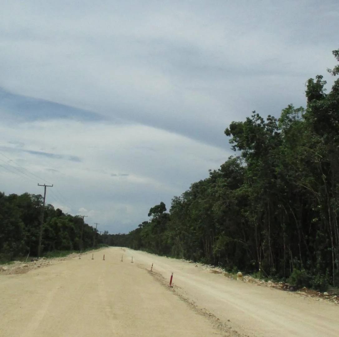 46 Acres of Land : 8 miles from Sarteneja Village - Photo 3