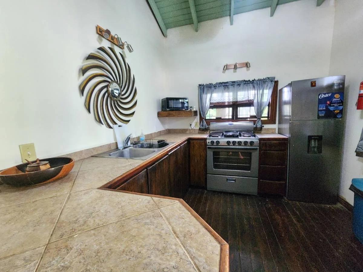 Green Salamander Triplex – Unique Investment Opportunity in Placencia - Photo 6