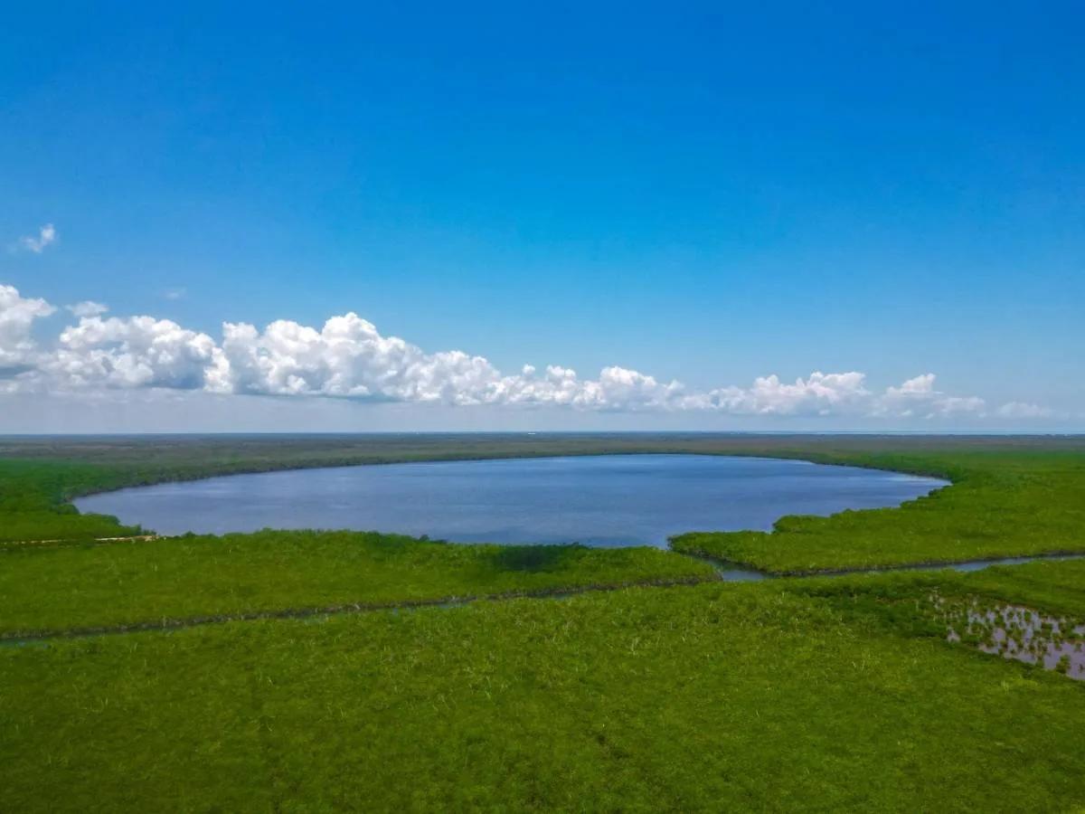 8.96 Acres from Highway to Burdon Canal - Photo 4