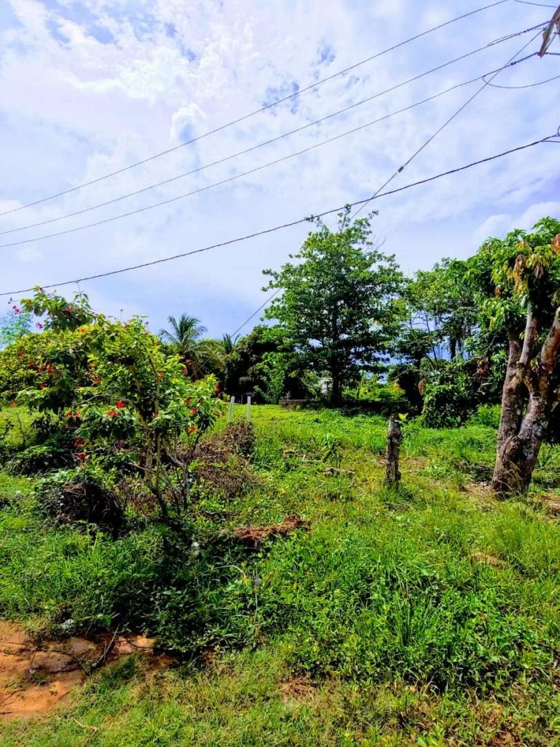 Available for sale, 3 lots footsteps to the warm water of the Caribbean Sea and ready for building - Photo 8