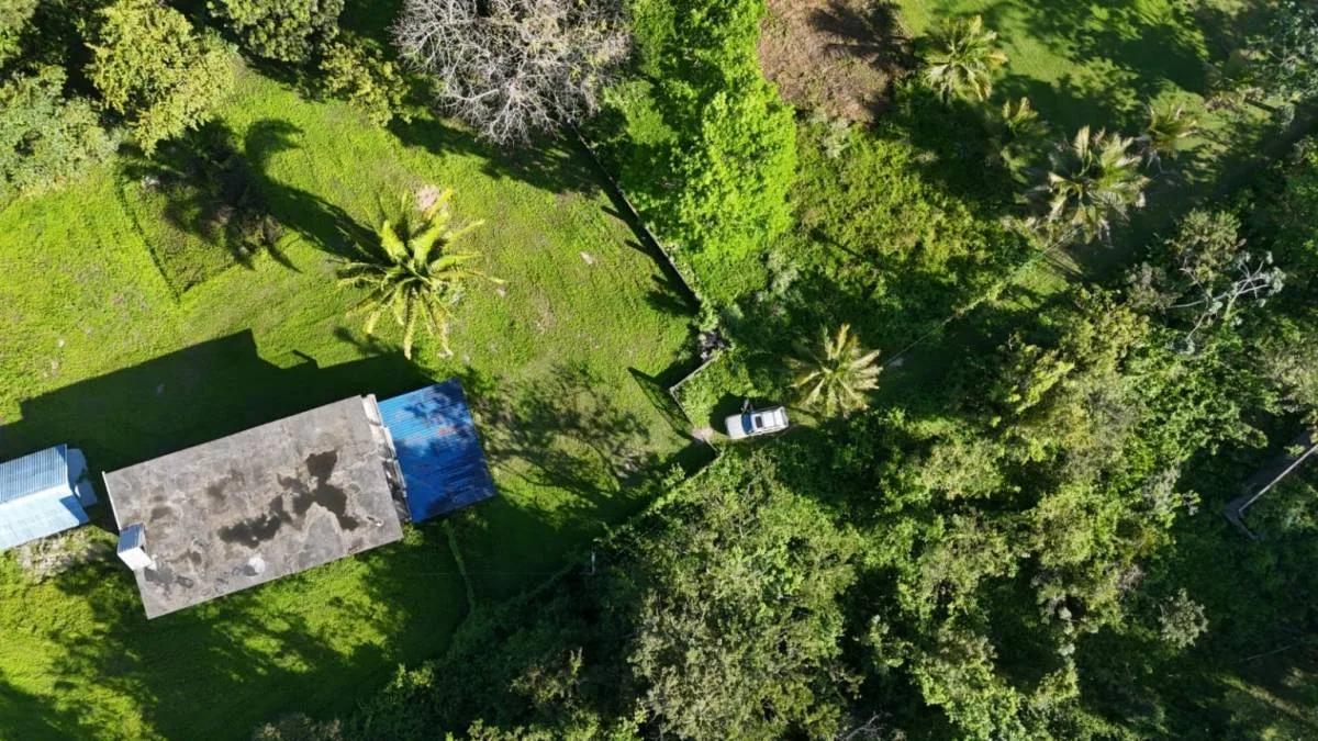 Tropical 3.93-Acre Property with Home Near Punta Gorda Town - Photo 8