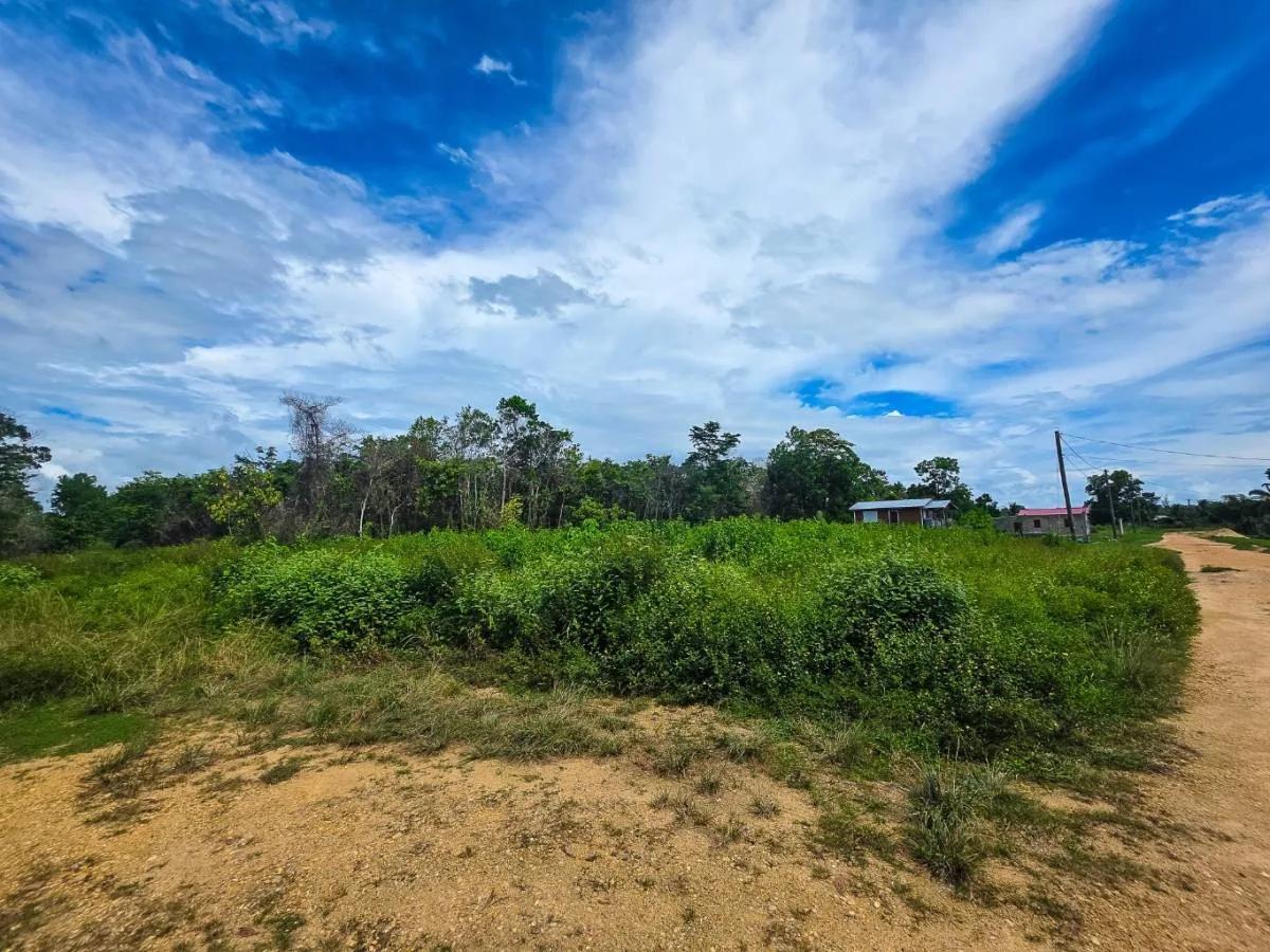 Attractive Lot in Hope Creek Village - Photo 6
