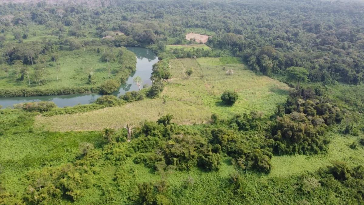 "Riverside Tranquility: 30.119 Acres of Pristine Paradise near San Felipe Village, Toledo"