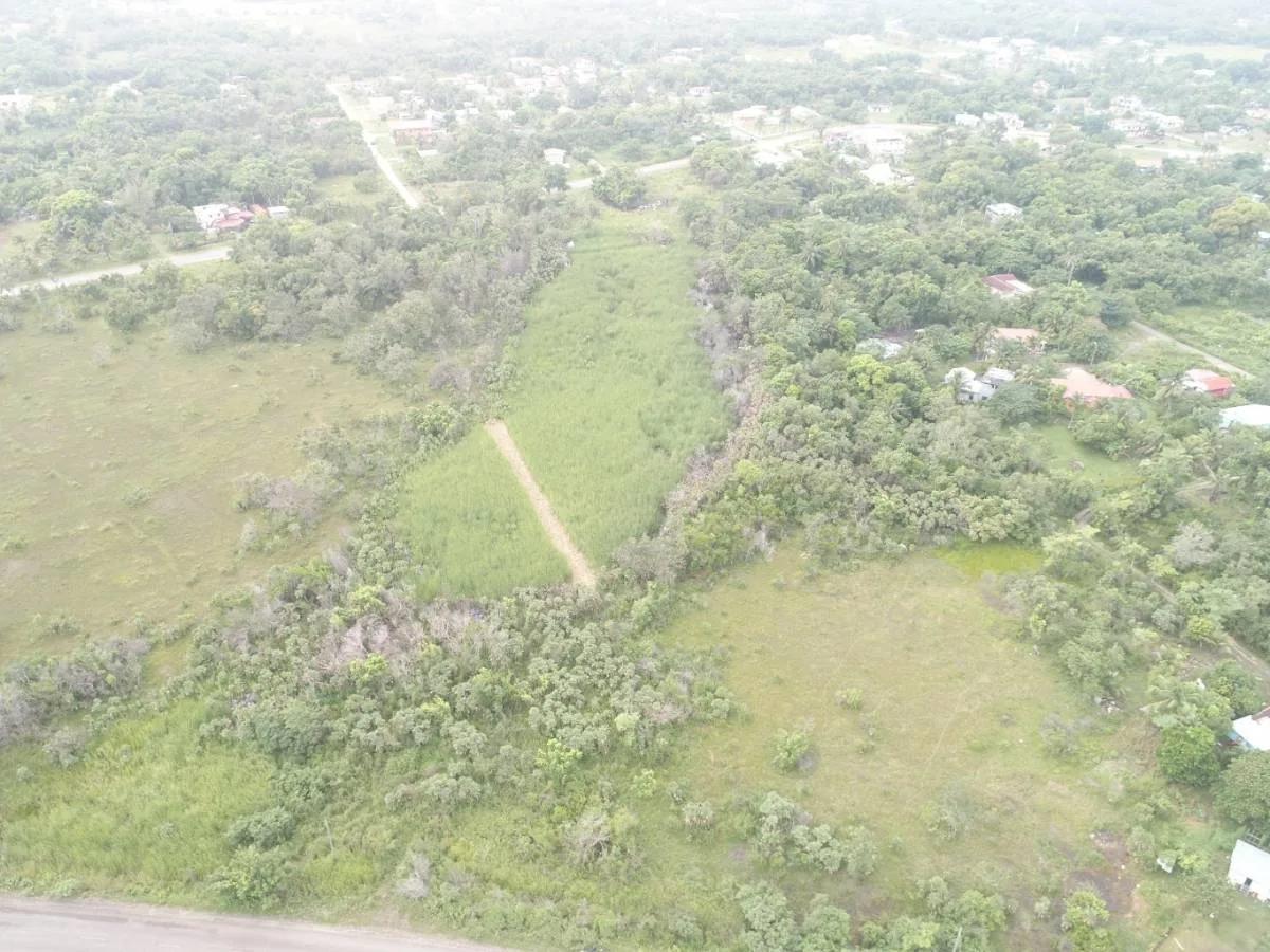 4.65 Acres close to Boom Hattieville Cutoff Road - Photo 7
