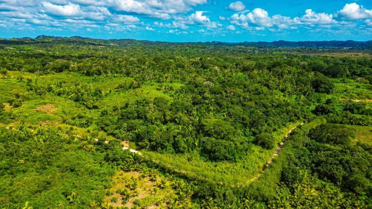 Tea Kettle Village | 230-Acre Riverfront Investment Estate in Belize - Photo 4