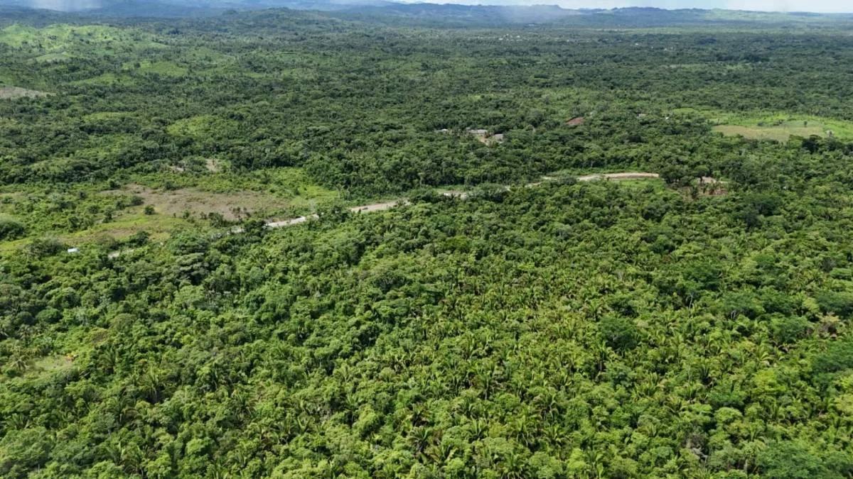 22 Acres Investment Opportunity in Crique Troso, Mafredi Village, Toledo District