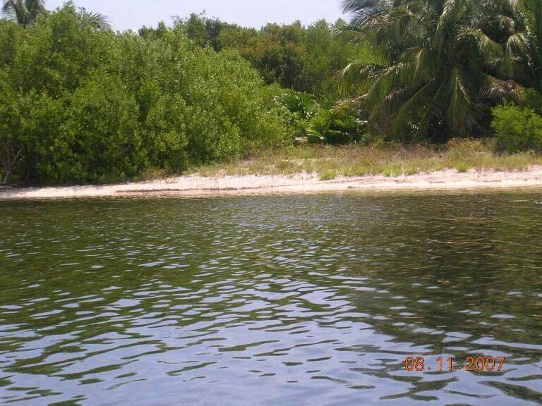 5.14 Acres Turneffe Island - Photo 2