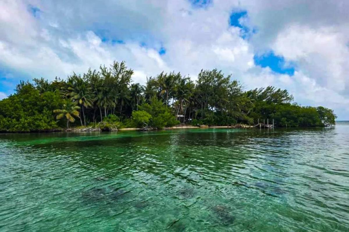 1.4-Acre Private Island for Sale | Buttonwood Caye, Placencia, Belize - Photo 4