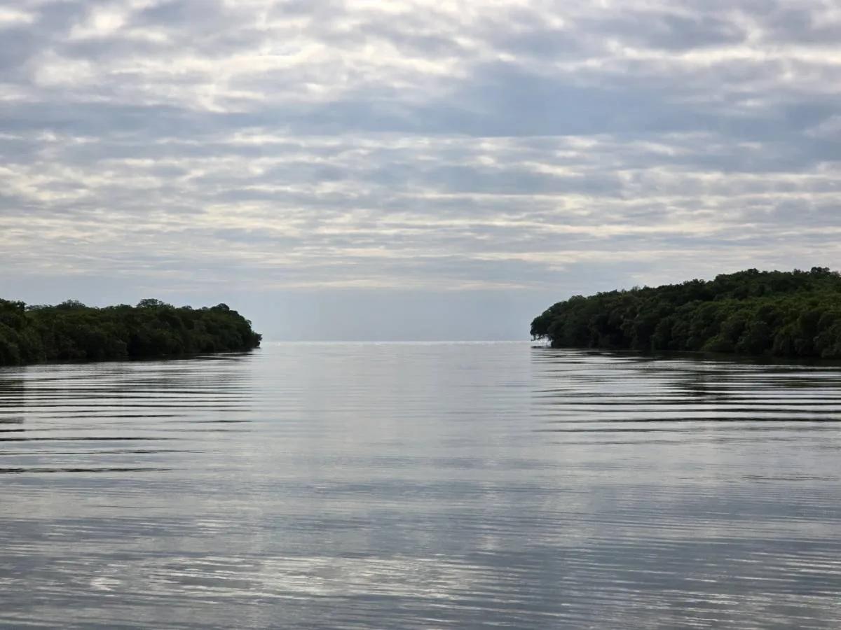 An Exceptional Investment Opportunity in Southern Belize! - Photo 6