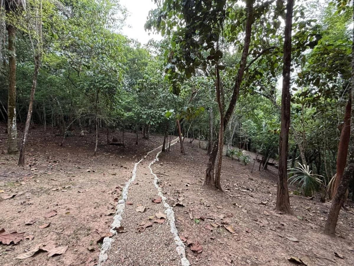 Investor’s Dream – 46+ Acres with Highway & River Frontage in Cristo Rey, Cayo District - Photo 6