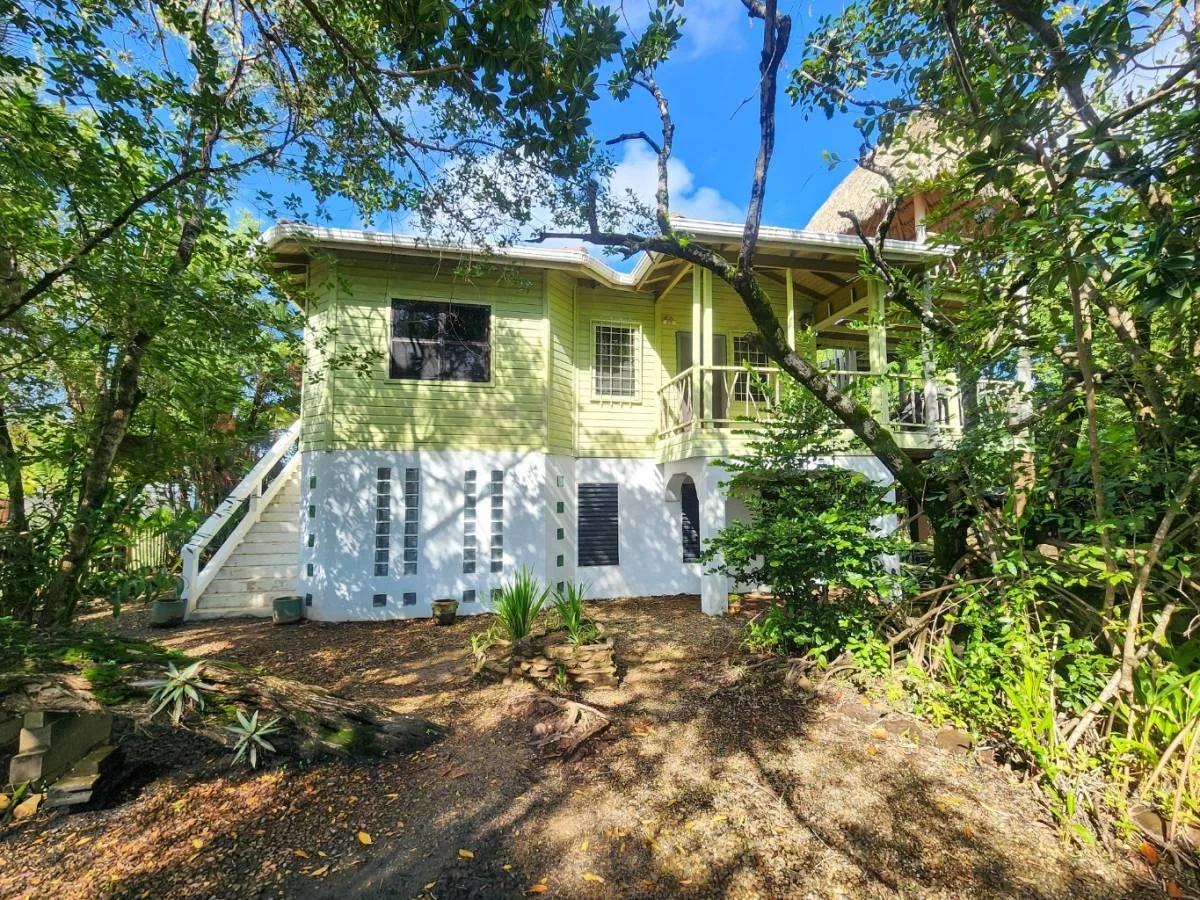 Green Salamander Triplex – Unique Investment Opportunity in Placencia