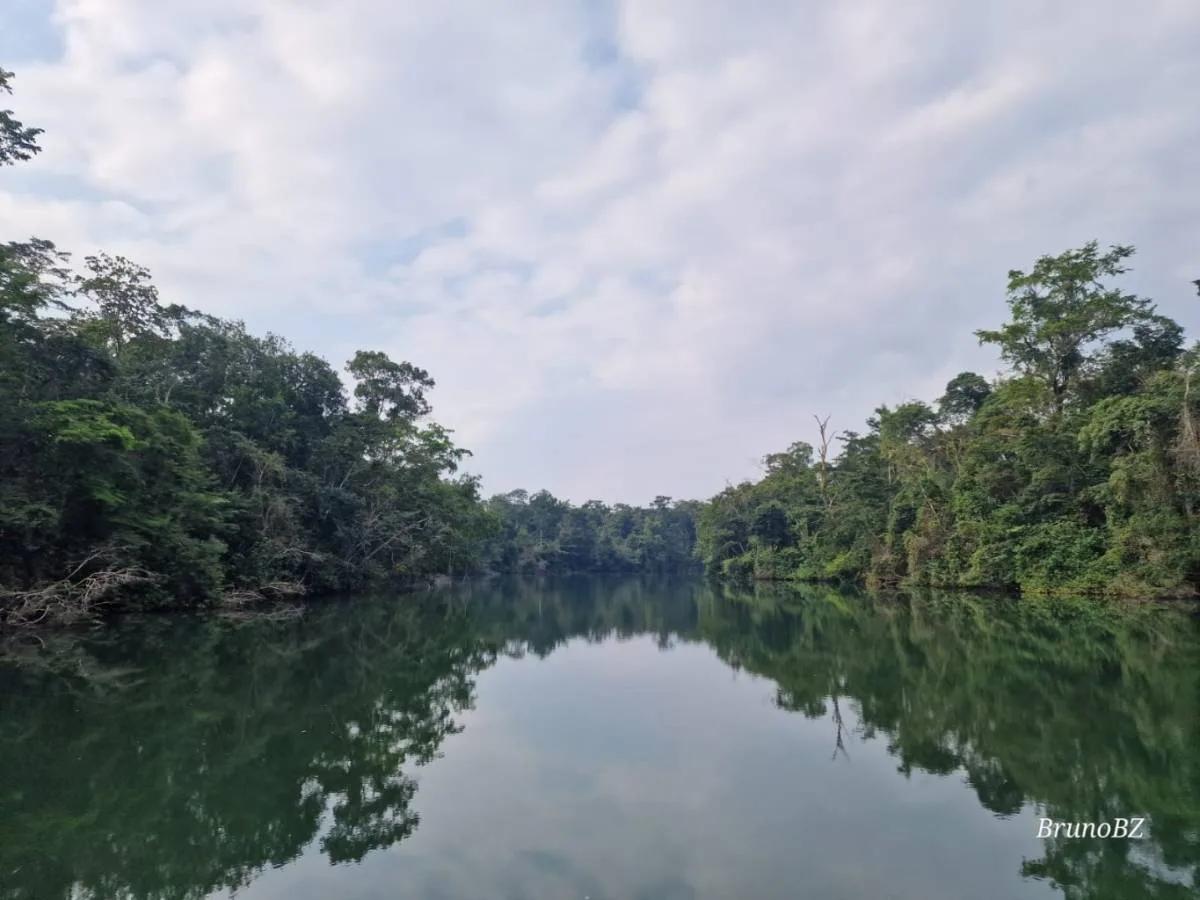 "Prime Riverside Majesty: 50 Acres of Untouched land in the Moho River, Toledo District" - Photo 2