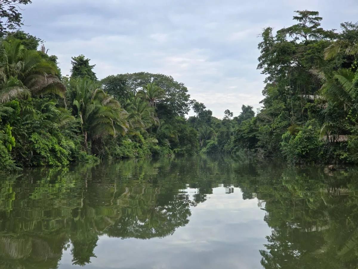 An Exceptional Investment Opportunity in Southern Belize!