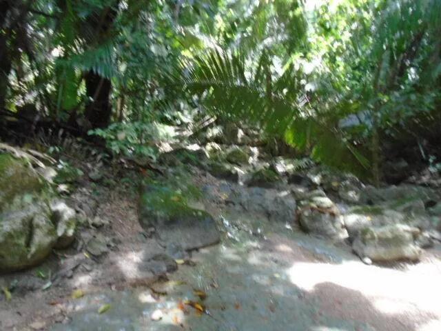 50.15 acres of lush tropical rainforest with hills and creeks,  San Pedro Colum - Photo 8