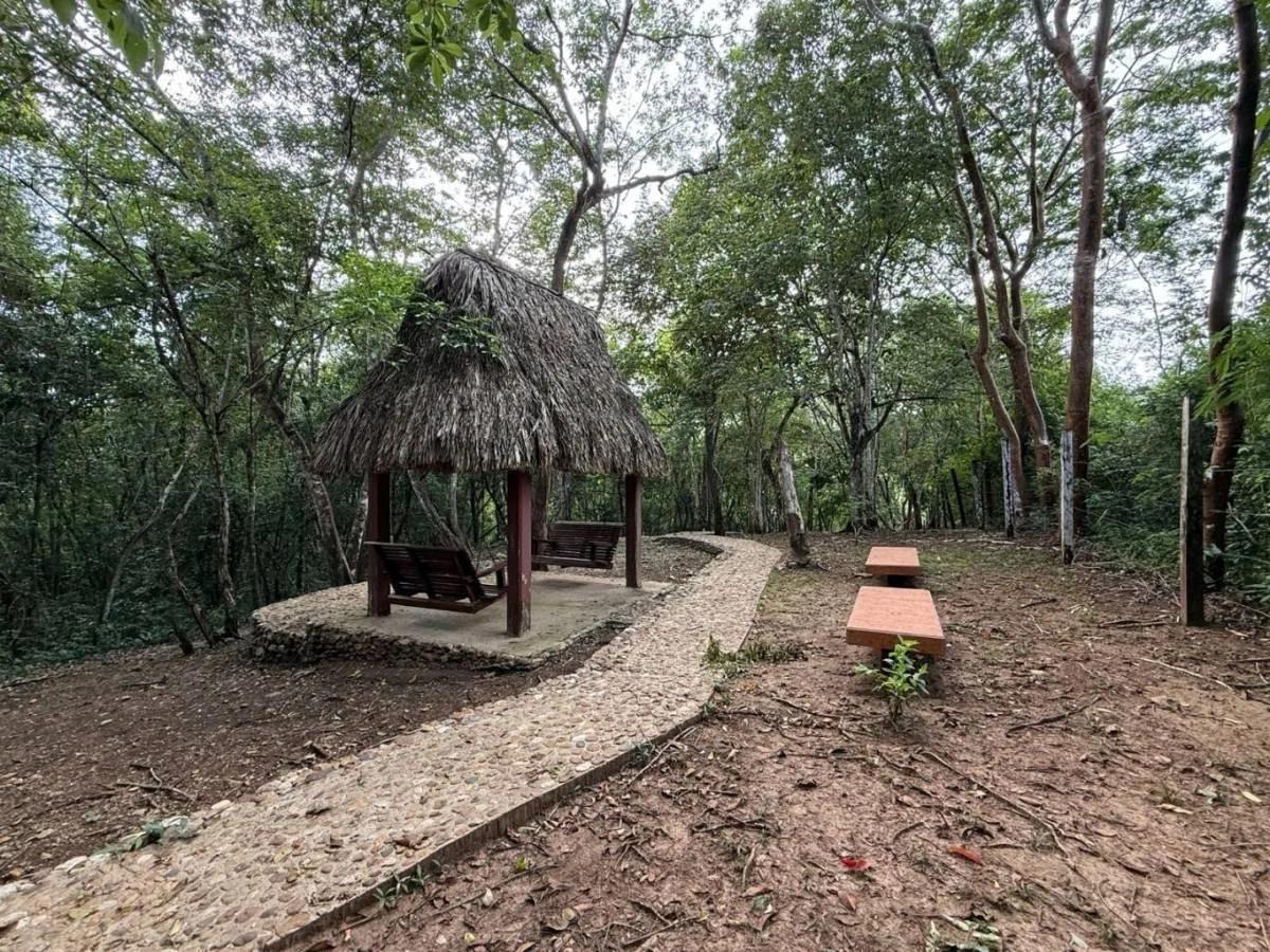Investor’s Dream – 46+ Acres with Highway & River Frontage in Cristo Rey, Cayo District - Photo 7
