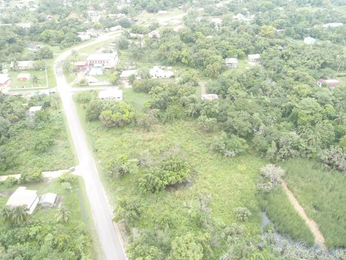 4.65 Acres close to Boom Hattieville Cutoff Road - Photo 8