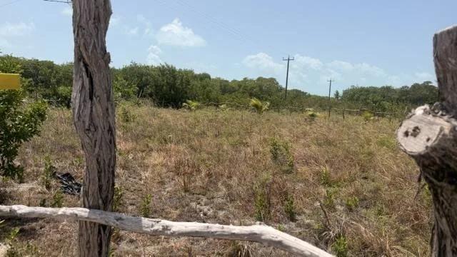 Prime Commercial Lot for Sale – North Island - Photo 6