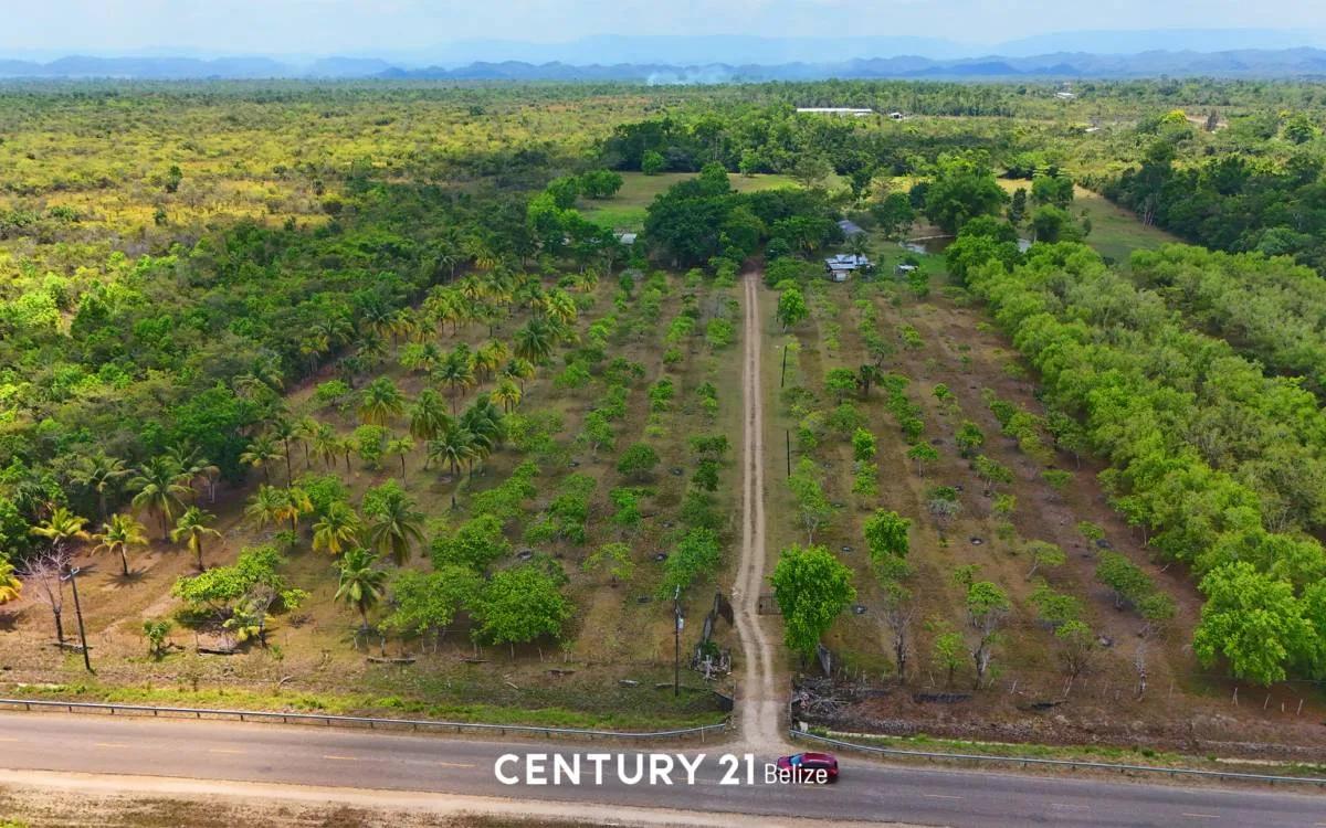 Prime 20-Acre Land with Two Homes and Commercial Potential - Photo 8