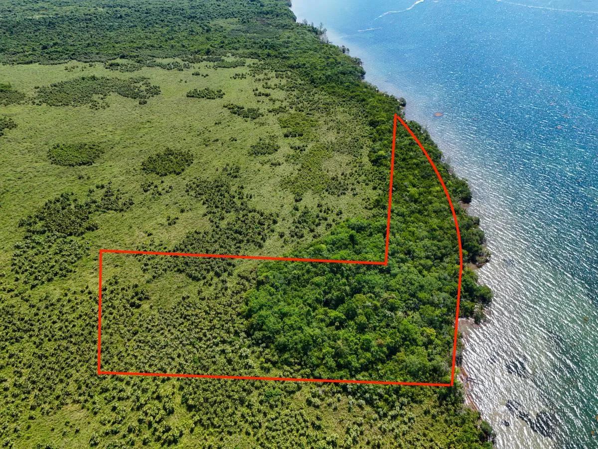 5.11 Acres of Beachfront Paradise in Commerce Bight - Photo 2