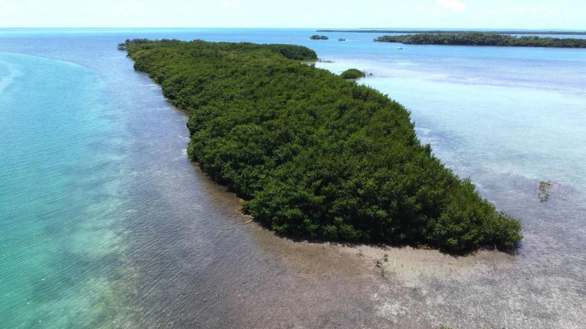 5 acre Private Island Near Ambergris Caye - Photo 5