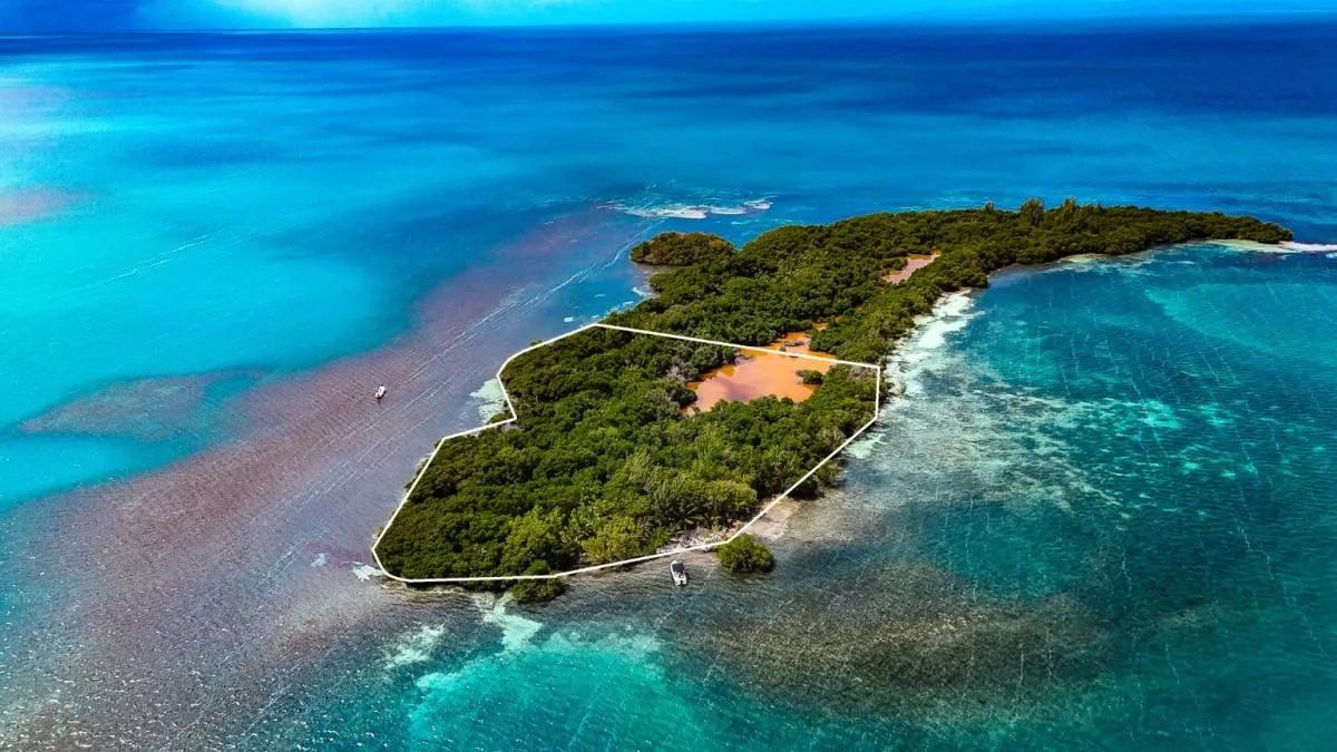 Prime Waterfront Acreage on Grennel’s Caye - Photo 2