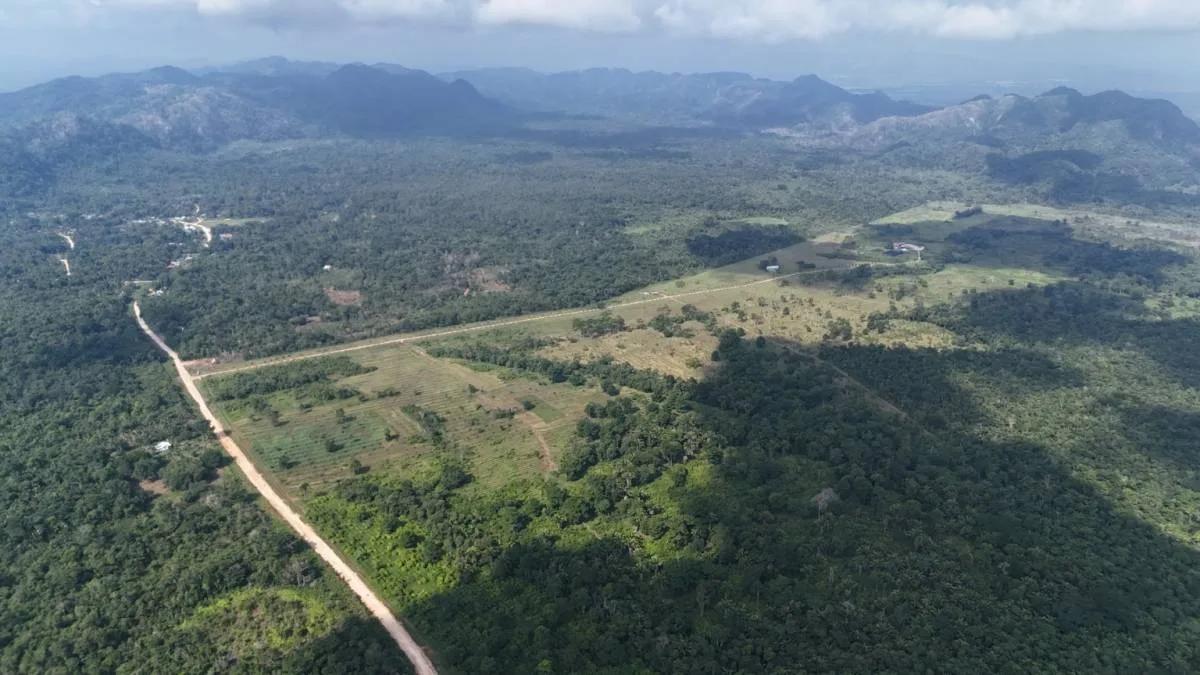 50.463 acres Teak Plantation "Investment Property" in Southern Belize! - Photo 7