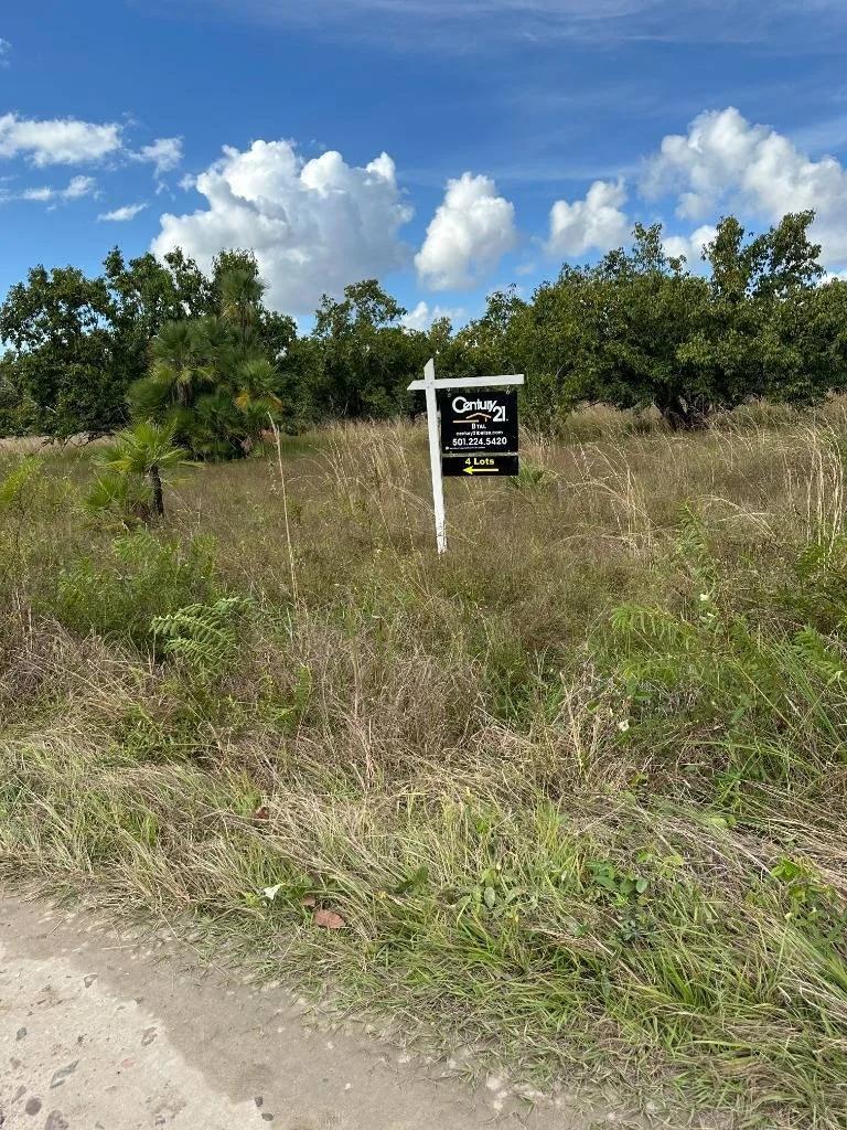 Affordable lots Burrel Boom in Castleton Area . - Photo 2
