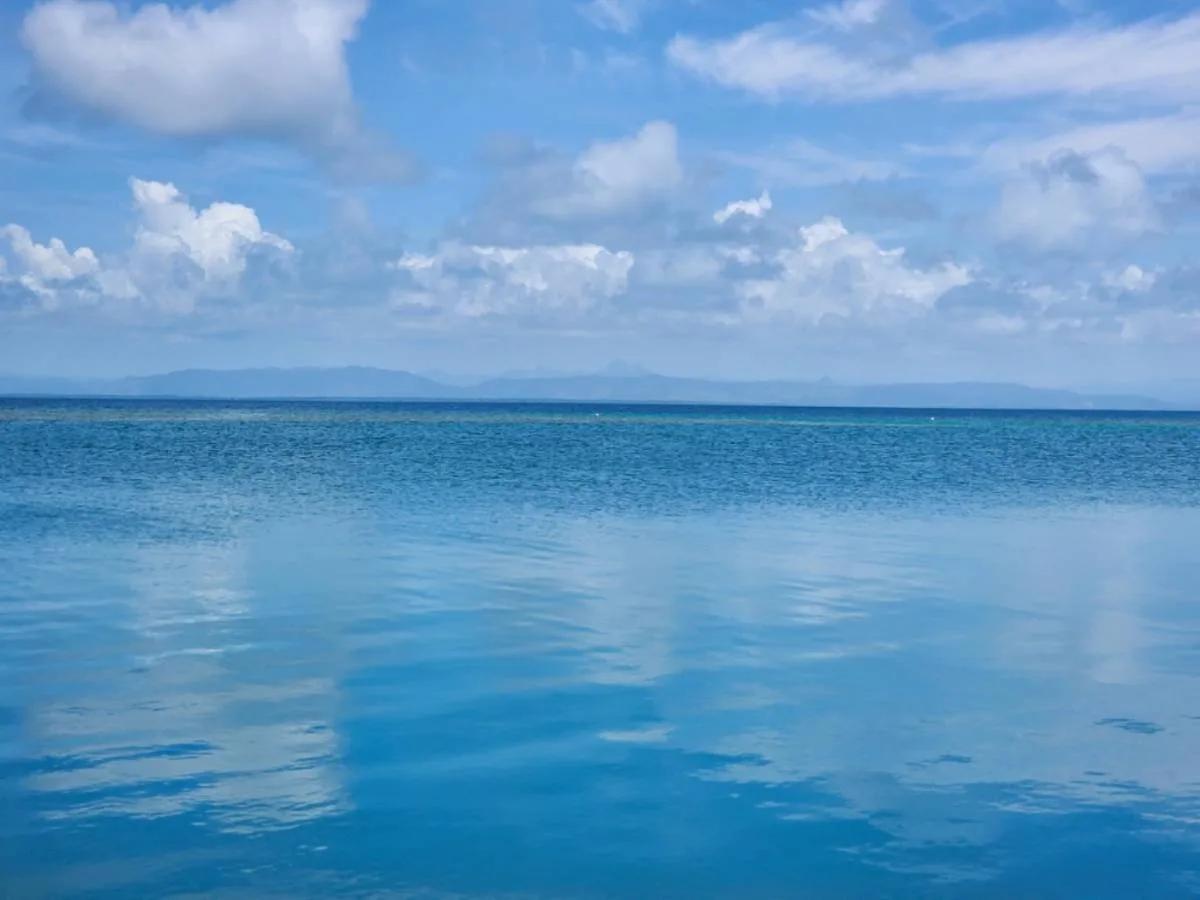 Two Exquisite Parcels on Saddle Caye - Photo 5
