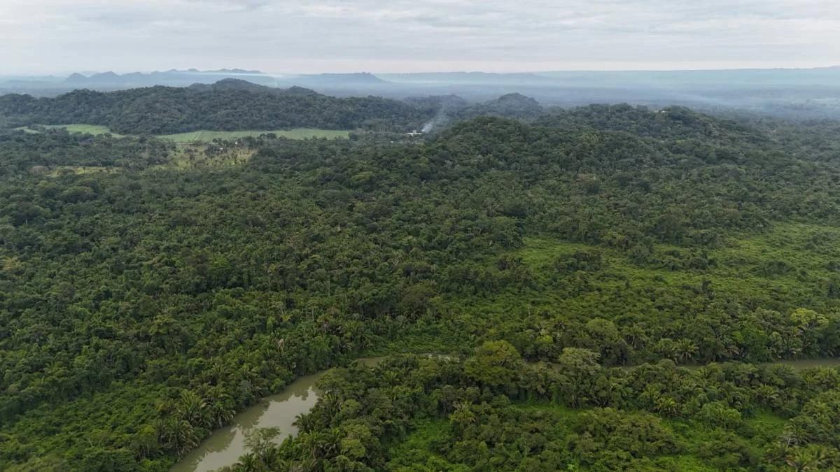 An Exceptional Investment Opportunity in Southern Belize! - Photo 4