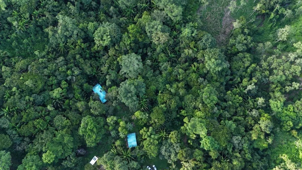 Fantastic 51.42-Acre Farm for Sale – The Farm Inn, Toledo, Belize - Photo 6